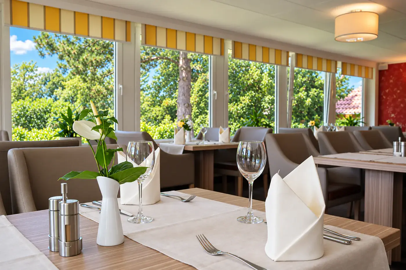 Set table with park view