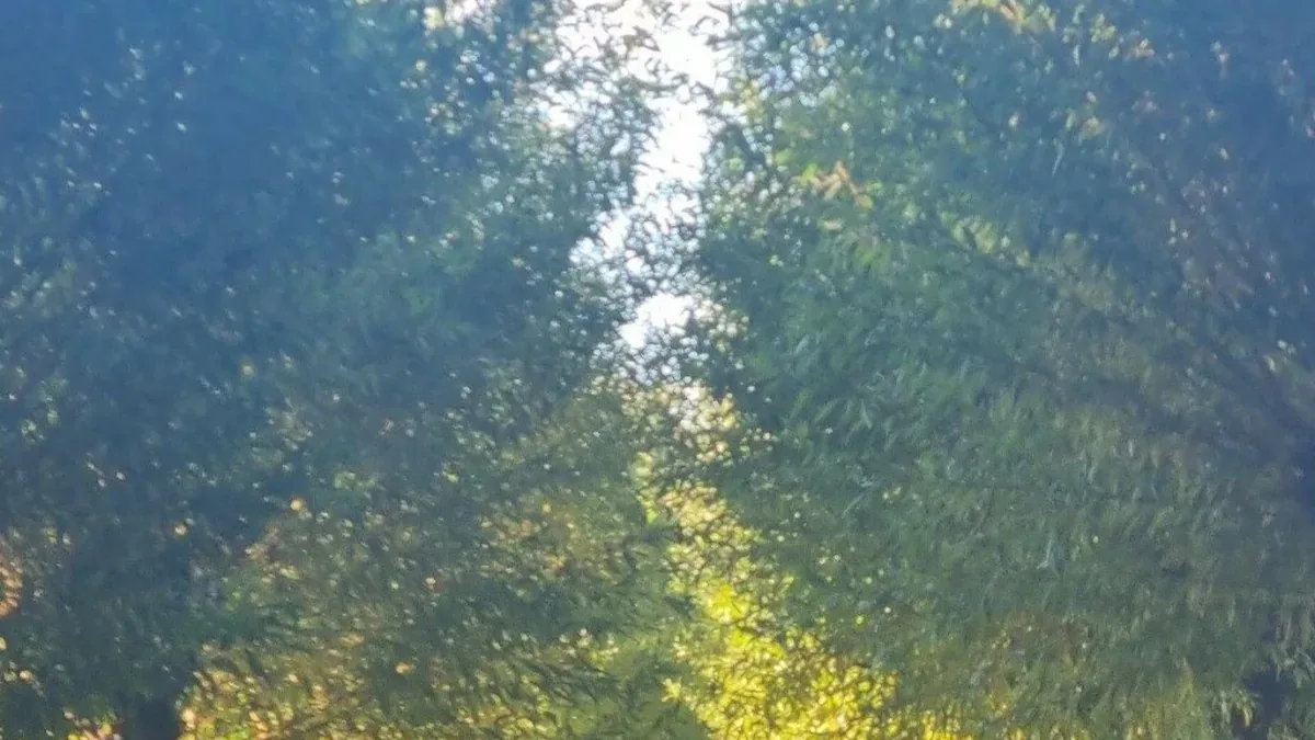 Goldene Auszeit im Herbst