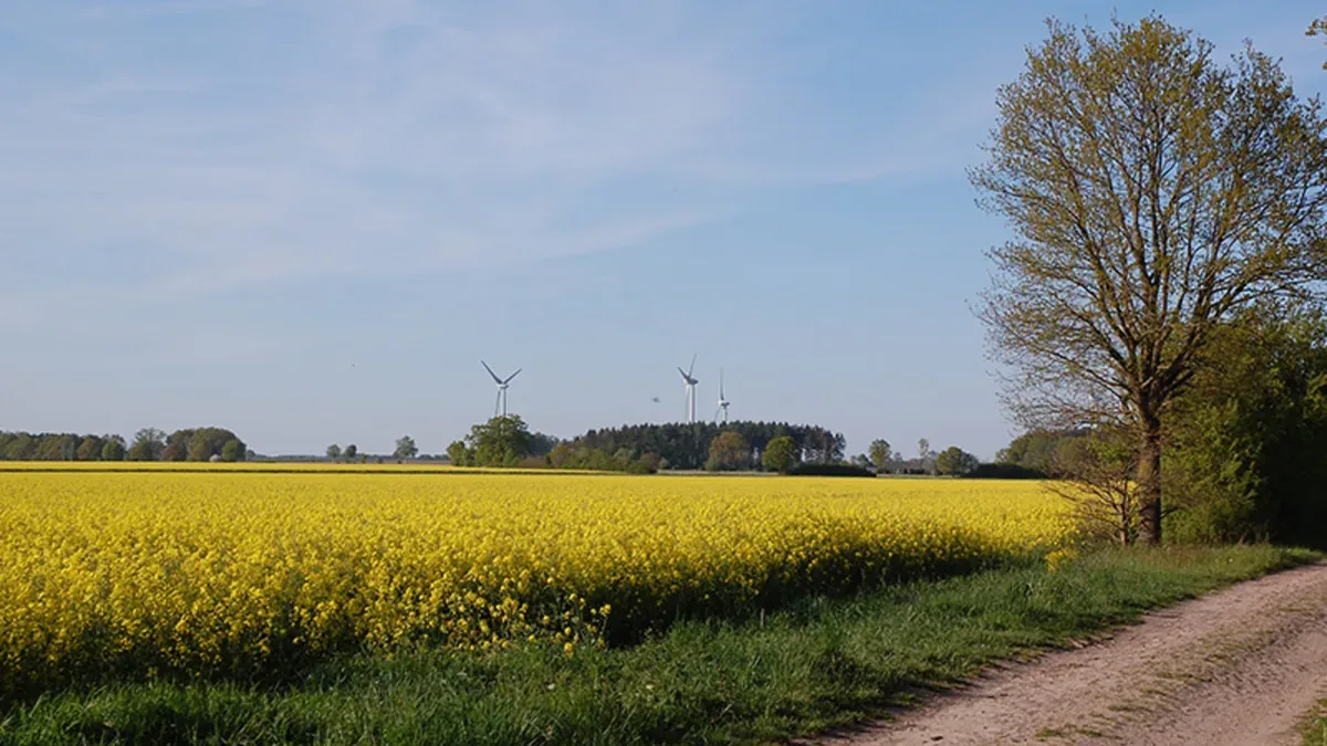 Zwischen Winterruhe und Frühlingsbeginn