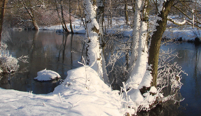 Winterbild mit Schnee